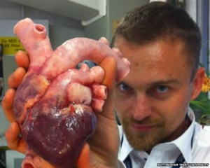 Richard Arm's 3D-printed heart mimics the textures  of the human organ