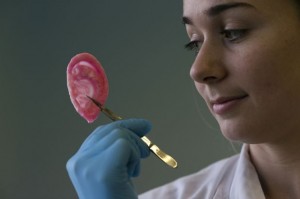 Michelle Griffin, que integra a equipe de pesquisa, segura orelha sintética que poderá ser implantada em pessoas, após autorização concedida pelo governo britânico (Foto: Matt Dunham/AP)